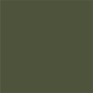 RAL6003