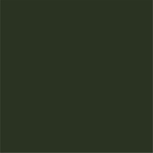 RAL6007